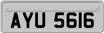 AYU5616
