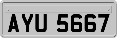 AYU5667