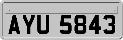 AYU5843