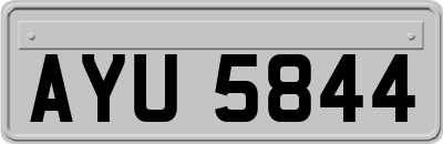 AYU5844