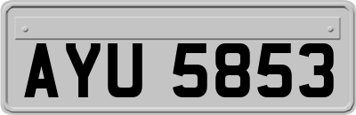 AYU5853