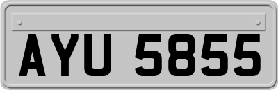 AYU5855
