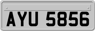 AYU5856