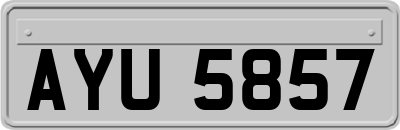 AYU5857