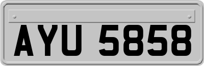 AYU5858