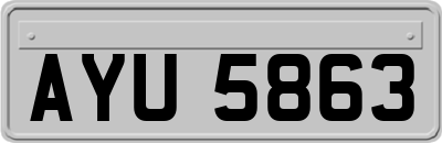 AYU5863