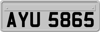 AYU5865