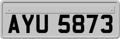 AYU5873