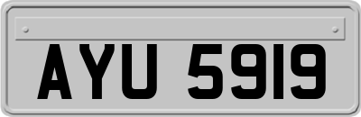 AYU5919