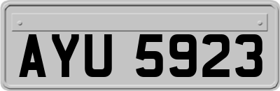 AYU5923