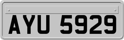 AYU5929