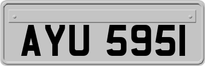 AYU5951