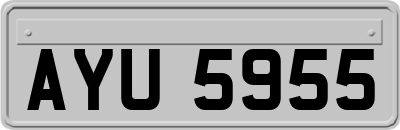 AYU5955
