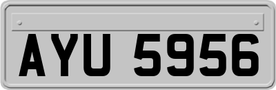 AYU5956