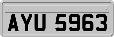 AYU5963