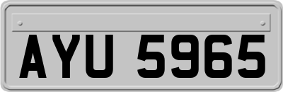 AYU5965