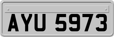 AYU5973