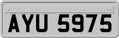 AYU5975