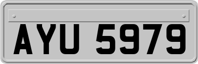 AYU5979