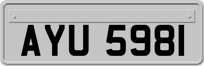 AYU5981