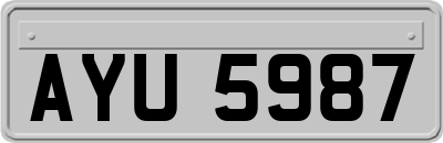 AYU5987