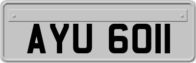 AYU6011