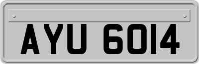 AYU6014