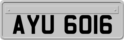 AYU6016