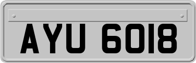 AYU6018
