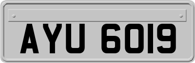 AYU6019