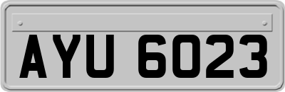 AYU6023
