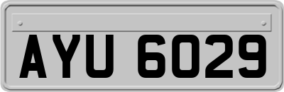 AYU6029
