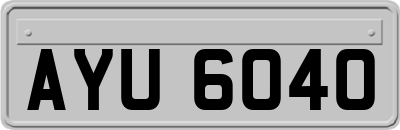 AYU6040