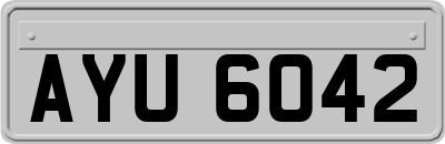 AYU6042