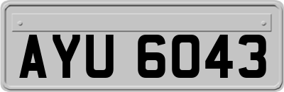 AYU6043