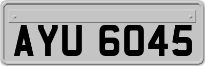 AYU6045