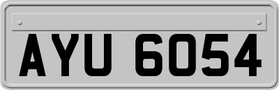 AYU6054