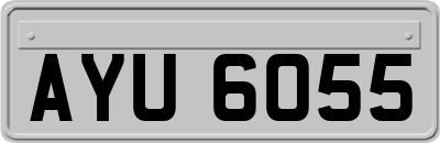 AYU6055