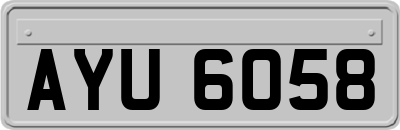 AYU6058