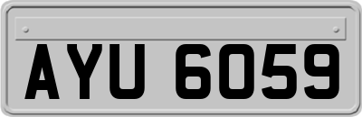 AYU6059
