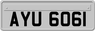 AYU6061