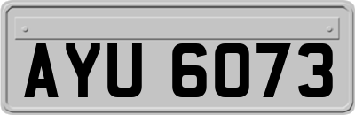 AYU6073