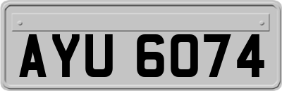 AYU6074