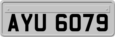 AYU6079