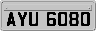AYU6080