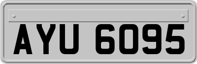 AYU6095