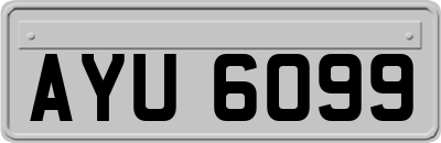 AYU6099