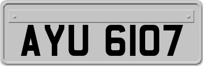 AYU6107