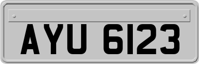 AYU6123