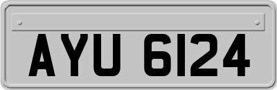 AYU6124